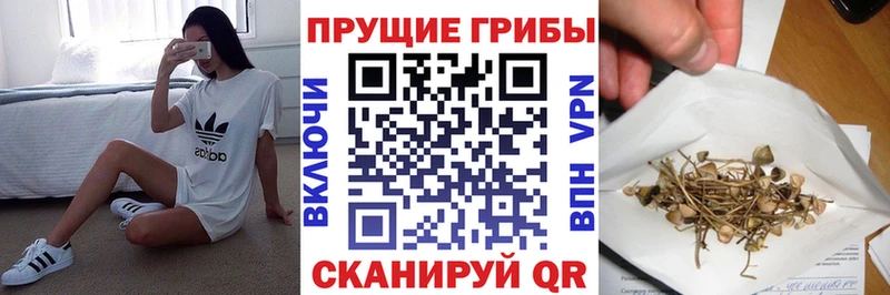Галлюциногенные грибы MAGIC MUSHROOMS  Купить  Пестово 